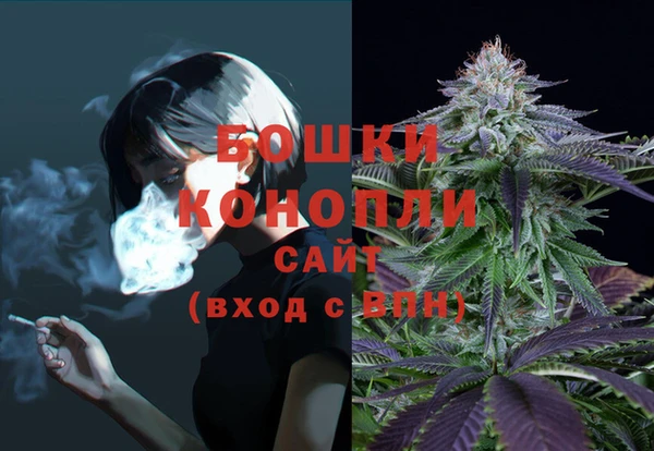 a pvp Осинники