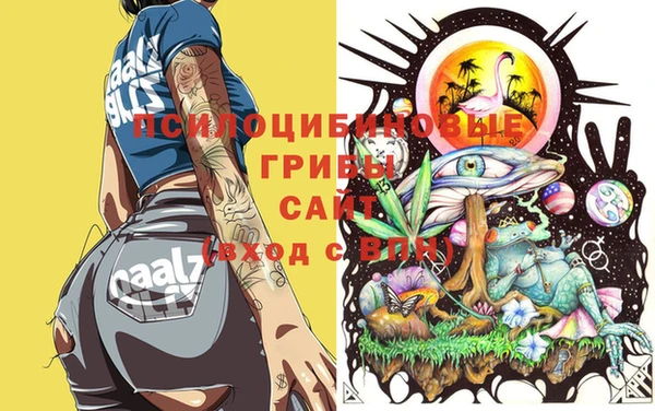 альфа пвп Алексеевка