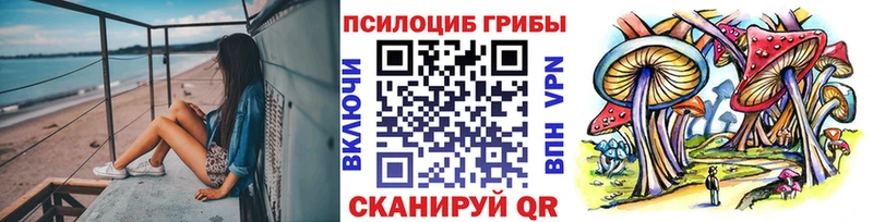 Галлюциногенные грибы MAGIC MUSHROOMS  как найти наркотики  ОМГ ОМГ ССЫЛКА  Звенигово 